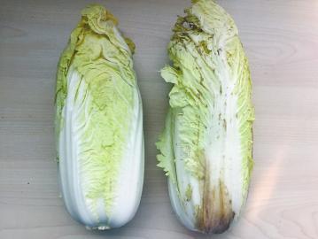 乾港集團
